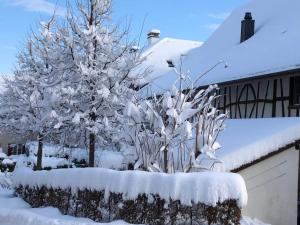 Bed & Breakfast Gaetzi talvel +4 fotot