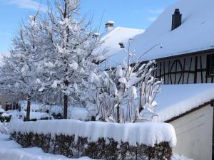 two trees covered in snow in front of a house at Bed & Breakfast Gaetzi in Windlach