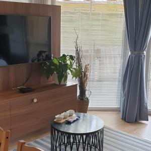TV a/nebo společenská místnost v ubytování Magyartenger Apartman Balatonlelle