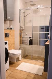 W łazience znajduje się toaleta i przeszklony prysznic. w obiekcie Marywilska apartment w Warszawie