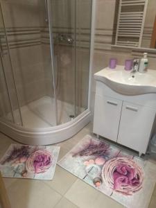 2 fotografías de un baño con ducha y lavabo en Apartman Magdalena, en Trebinje