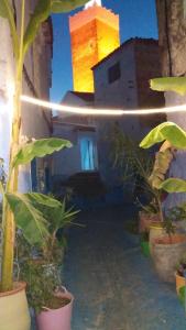 Φωτογραφία από το άλμπουμ του USHA Guest House σε Chefchaouene