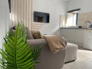 a living room with a couch and a plant at Mi pequeño refugio in Constantina