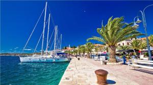 a group of boats docked at a marina with palm trees at Apartmany Rogoznica in Rogoznica +14 photos