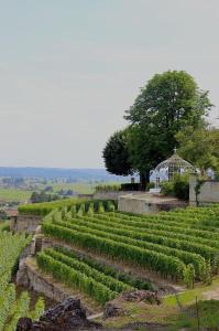 un giardino con un mucchio di piante verdi di Le gite la petite Fronsadaise a Guîtres