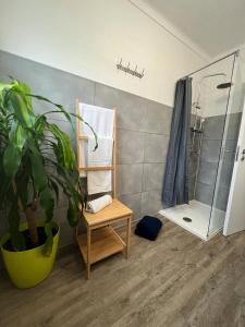 baño con maceta y ducha en Apartment Ericeira South, en Ericeira