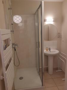 a bathroom with a shower and a sink at L'appartement du parc vert marine in Houlgate