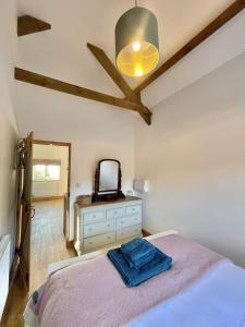 1 dormitorio con cama y vestidor con TV en Furze, en Watchet