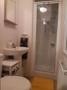 a bathroom with a shower and a sink and a toilet at Bimble Lodge in Langport