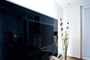 Telewizja i/lub zestaw kina domowego w obiekcie Apartment Giuliano Vienna