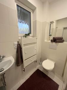 a bathroom with a toilet and a sink and a window at Prázdninový dům Za Stodolou in Česká Ves