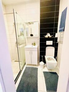 La salle de bains est pourvue de toilettes, d'un lavabo et d'une douche. dans l'établissement 4 llullat - City Center Apartment, à Pristina