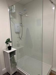 a bathroom with a shower with a glass door at Cosy authentic flat in the heart of Galashiels in Galashiels