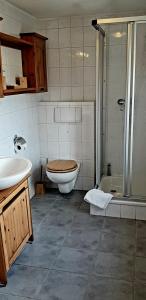 a bathroom with a toilet and a sink and a shower at Miniferienwohnung am Wiesenweg in Bad Elster +4 photos