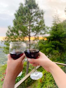 a person holding a glass of red wine at One of a kind countryside home in Tamanique