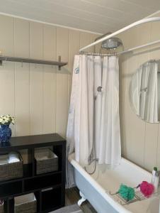 a bathroom with a bath tub with a shower curtain at Your Most Romantic and Peaceful Getaway in El Sobrante