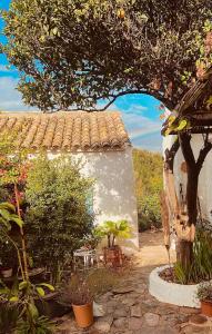 Zdjęcie z galerii obiektu Encanto Rural con Jardín privado y Chimenea w mieście Facinas