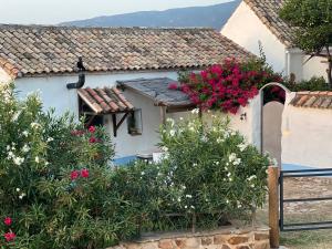 Zdjęcie z galerii obiektu Encanto Rural con Jardín privado y Chimenea w mieście Facinas