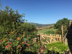Zdjęcie z galerii obiektu Encanto Rural con Jardín privado y Chimenea w mieście Facinas