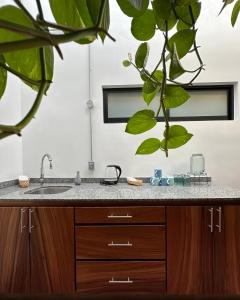 - un comptoir de salle de bains avec un lavabo et une plante dans l'établissement Hotel Boutique Casa Degollado, à Colima