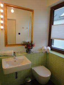 La salle de bains est pourvue d'un lavabo, de toilettes et d'un miroir. dans l'établissement Cologne Country Lodge, à Cologne