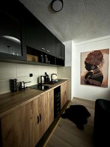 a kitchen with wooden cabinets and a painting of a woman at ANKA APARTMENT in Štip