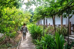 a woman walking down a path in a garden at DON DET Souksan Sunset Guesthouse and The Xisland Riverview Studio in Ban Donsôm Tai
