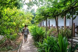 DON DET Souksan Sunset Guesthouse and The Xisland Riverview Studio في Ban Donsôm Tai: a woman walking down a path in a garden