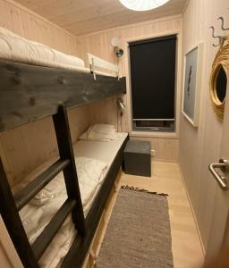 a small room with a bunk bed and a flat screen tv at Delikat hytte omgitt av Hallingdals vakre fjell in Ål
