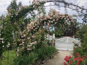 a garden with a white fence and pink roses at MAISON CHATEAU D'OLERON in Le Château-dʼOléron