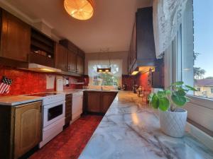 a kitchen with wooden cabinets and a potted plant at Cozy house in heart of Swedish Lapland in Vuollerim