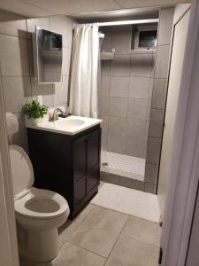 La salle de bains est pourvue de toilettes, d'un lavabo et d'une douche. dans l'établissement Choose, 1of 2 entire! appart- 1BR-1sofa bed king size-free prkg- at Mohawk college city of falls, à Hamilton