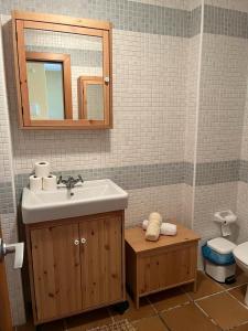 een badkamer met een wastafel, een toilet en een spiegel bij MARIBEL ELITE junto pistas in Sierra Nevada