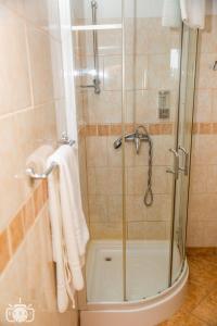 布加勒斯特的住宿－塔瑪拉別墅旅館，浴室里设有玻璃门淋浴