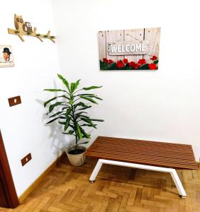 una panca di legno in una stanza con una pianta di La Casita Toledo - In pieno centro a Napoli