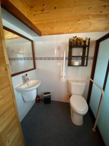 een badkamer met een wit toilet en een wastafel bij Cabañas Lihuén SPA in Parral