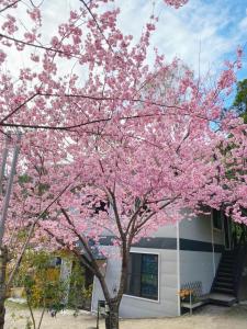 Giardino di 薔薇谷 民宿字108號