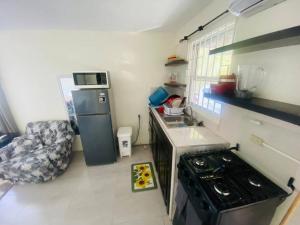 a small kitchen with a sink and a refrigerator at Mona Cottage in Kingston