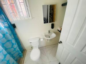 a bathroom with a white toilet and a sink at Mona Cottage in Kingston