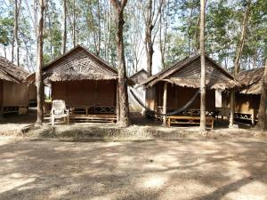 a group of huts with a chair in front of them at Pitt Bungalow in Ko Lanta