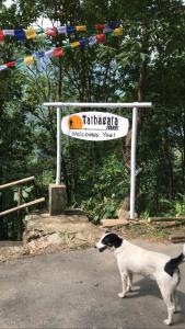 a black and white dog standing in front of a sign at Tathagata Farm in Darjeeling