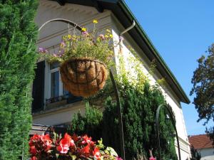 Zahrada ubytování Hôtel & Restaurant Le Relais d'Aumale