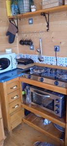 a kitchen with a stove and a microwave at The lodge in Mesongi