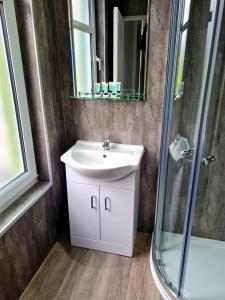 a bathroom with a sink and a shower at The Market Inn Hotel in Castle Douglas