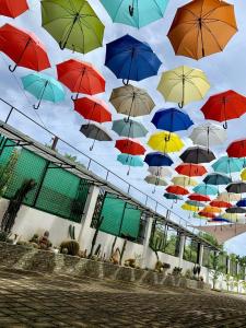 a bunch of umbrellas hanging from a ceiling at SUNSHINE STAY PANGLAO in Panglao Island