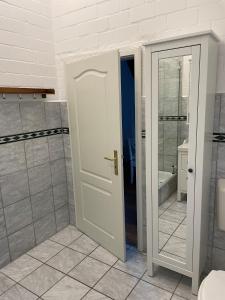 ein Bad mit einer weißen Tür und einer Dusche in der Unterkunft Bielenberg 37 in Kollmar
