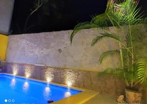a palm tree next to a swimming pool at night at Casa Adiel in Campeche