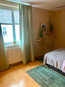 Schlafzimmer mit einem Bett, einem Fenster und einem Teppich in der Unterkunft Luxurious city apartment incl garage and terrace in Wien