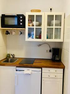 uma cozinha com um lavatório e um micro-ondas em Kajüthus Apartment 4 em Fehmarn
