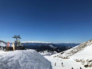 un grupo de personas en una montaña cubierta de nieve en Plaza Guest House με Tζάκι, en Arachova